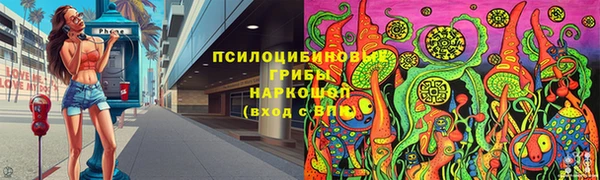 таблы Богородицк