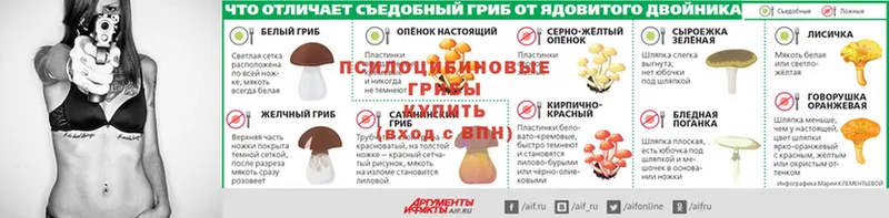 Псилоцибиновые грибы ЛСД  Сорочинск 